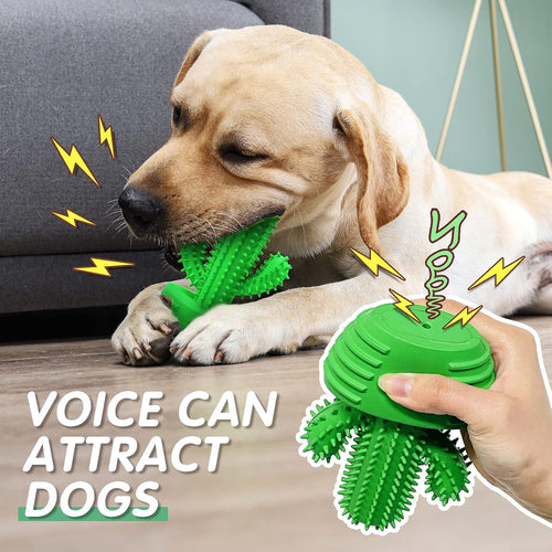 Squeaky Dog Toothbrush Toy for Aggressive Chewers