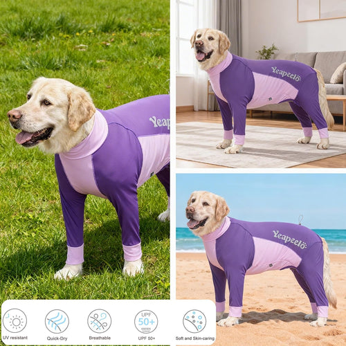 Big Dog I Cooling Suit UPF 50+