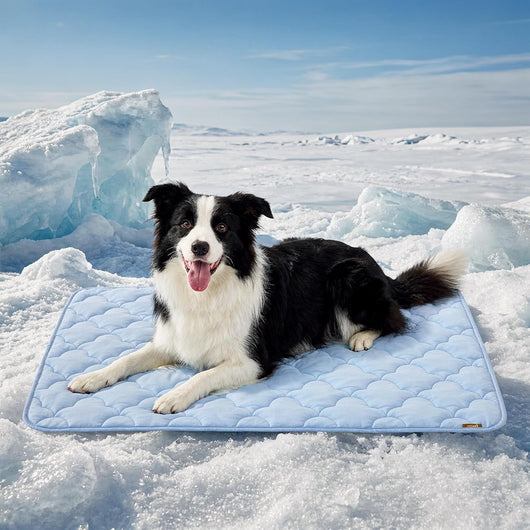 Portable cooling mat for dogs in car