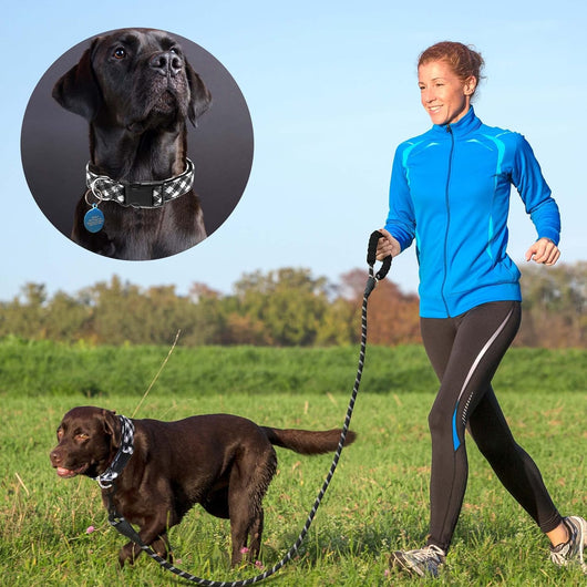 Reflective Neoprene Dog Collar Set