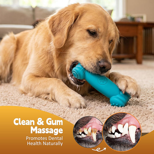 KXK Indestructible Dog Chew Bones Set