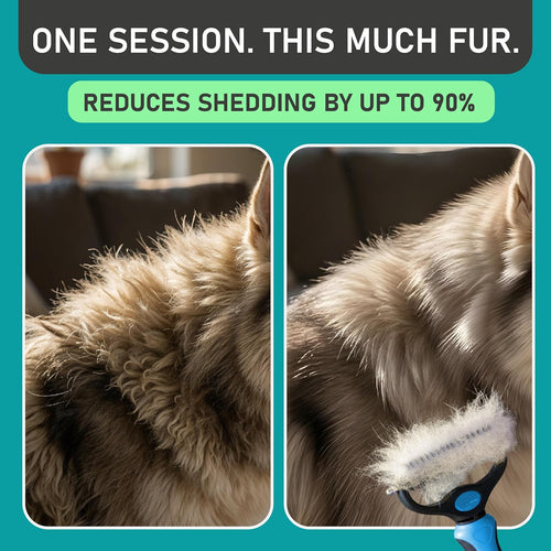 Maxpower Planet Double-Sided Pet Grooming Rake