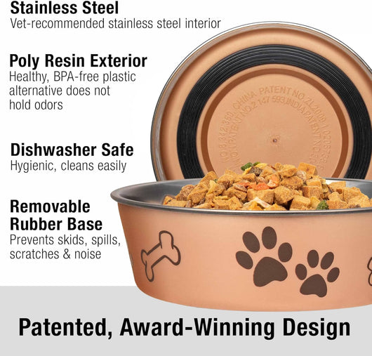 Stainless Steel Dog Bowl I Spill Proof I Champagne