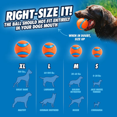 Chuckit! 2.5" Medium Fetch Balls I 3-Pack