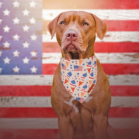 Patriotic Picnic Dog Bandana Two-Pack for Celebrations