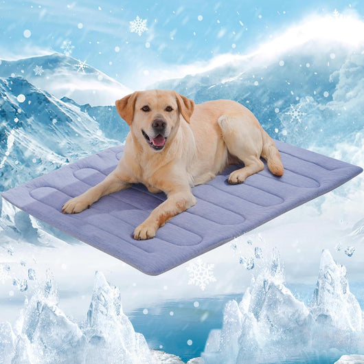 Dog lying on Arc-Chill 4.0 cooling mat