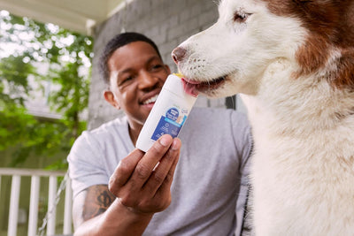 Twist + Lick Dental Gel for Dogs