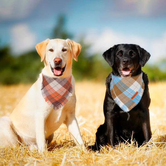 Plaid Tassel Dog Bandana Two-Pack for Fall
