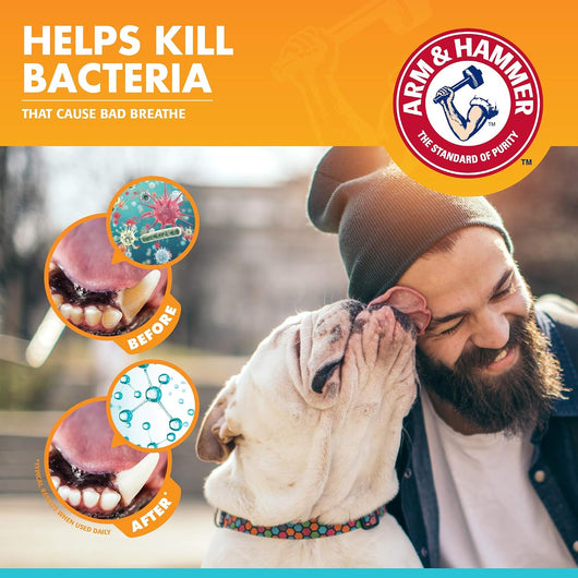 Enzymatic Dog Toothpaste for Toothbrush Use