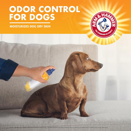Kiwi Blossom Dog Deodorizing Spray For Freshness