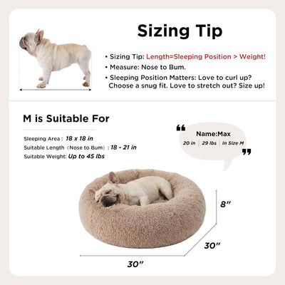 Human Dog Bed With Orthopedic Support