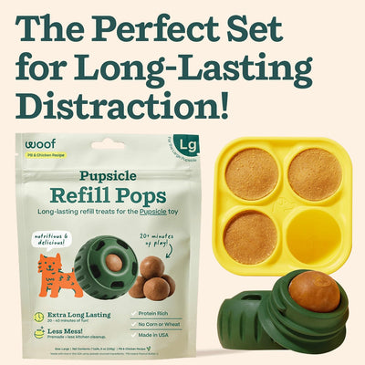 Refillable Frozen Treat Toy for Large Dogs