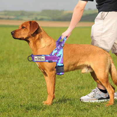No Pull Adjustable Dog Training Harness with Handle