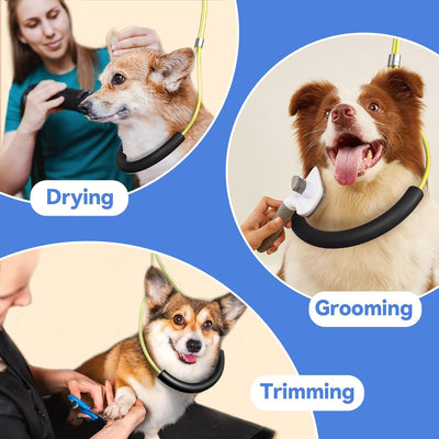 Foldable Adjustable Dog Grooming Arm Clamp Kit