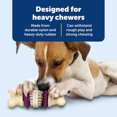 Dog Toothbrush Chew Toy for Aggressive Chewers