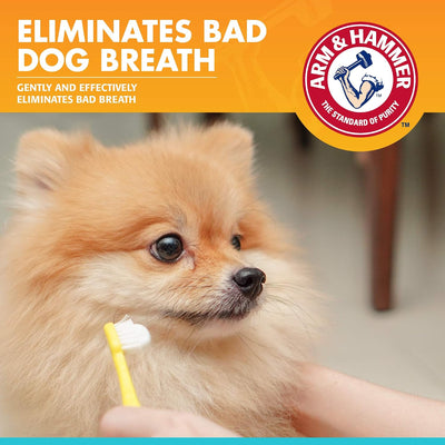 Enzymatic Dog Toothpaste for Toothbrush Use