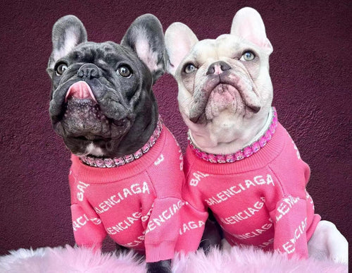 Balenciaga Fly Sweater