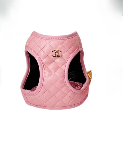 CC Luxury Step Harness & Golden Leash