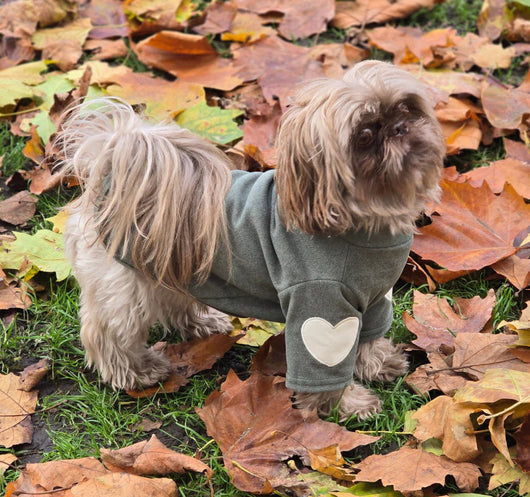 Hearty Washed Sweater