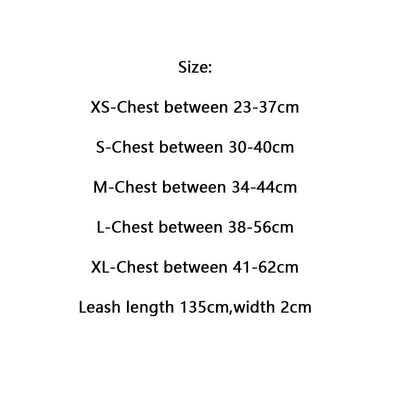 Amarillis Harness And Lo-fi Leash