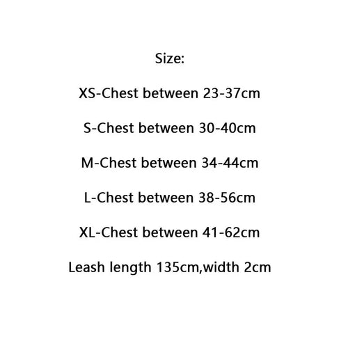 Amarillis Harness And Lo-fi Leash