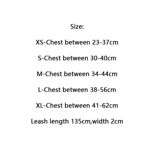 Amarillis Harness And Lo-fi Leash