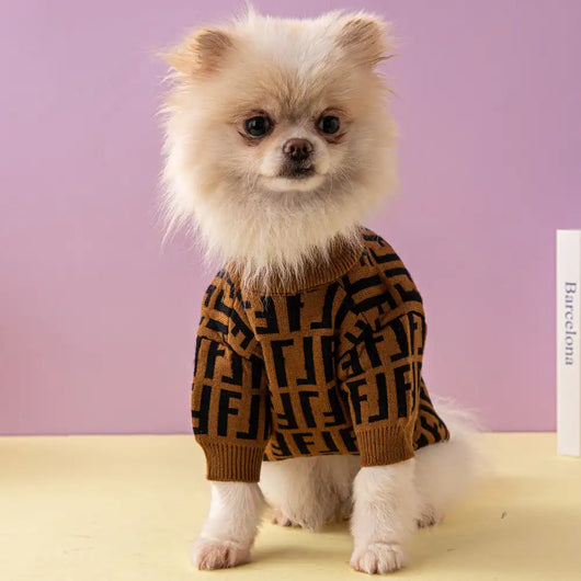 Fency Dog Layered Sweater