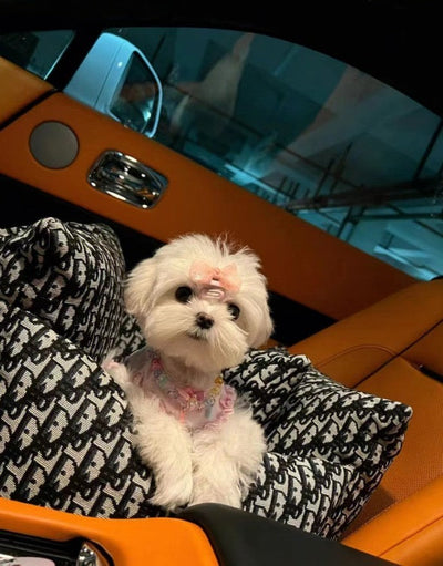 DD  Luxury Dog Car Clean Seat