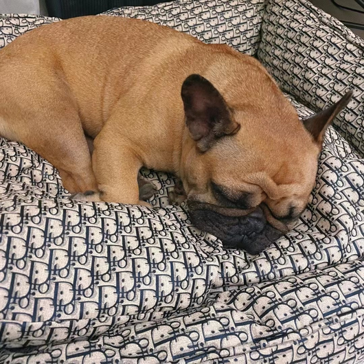 Big D Onyx Bed