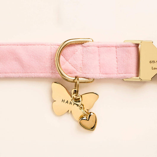 Blush Pink Velvet Dog Collar