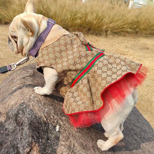 GG Luxury Summer Posh Dress