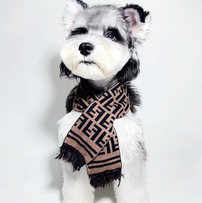 Pendog Brown Flex Scarf