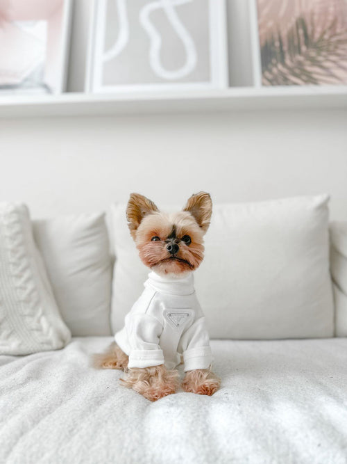 Lux Turtle Redux Neck