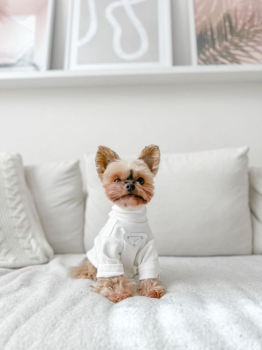 Lux Turtle Redux Neck