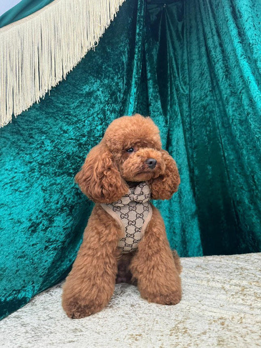 Pomy Bow Fire Harness
