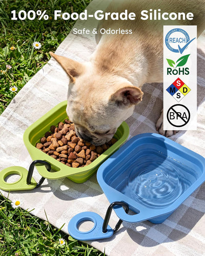 Portable Collapsible Silicone Dog Bowls for Travel