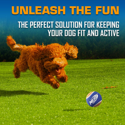 Nerf Dog Ball Launcher Set