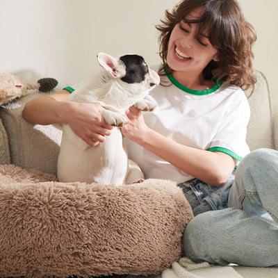 Human Dog Bed With Orthopedic Support