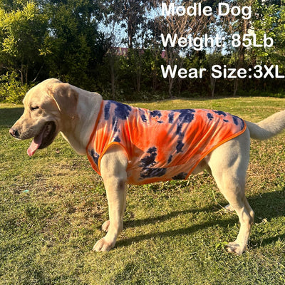 Big Dog I Tie Dye Dog T-Shirt