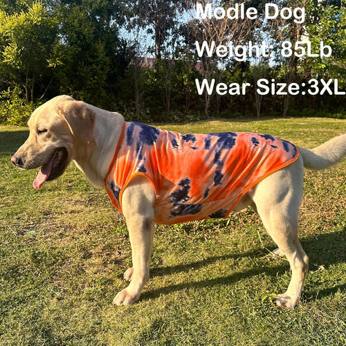 Big Dog I Tie Dye Dog T-Shirt