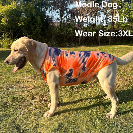 Big Dog I Tie Dye Dog T-Shirt