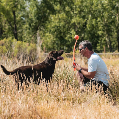 Chuckit Dog Ball Launcher for Large Dogs
