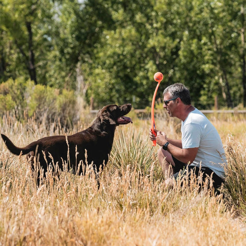 Chuckit Dog Ball Launcher for Large Dogs
