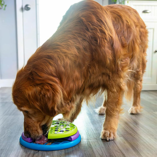 3-in-1 Dog Puzzle Feeder