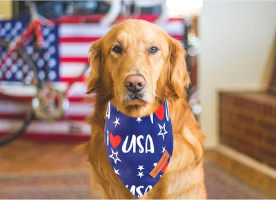 Patriotic USA Dog Bandana Two-Pack for Celebrations