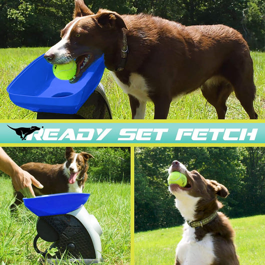 Franklin Automatic Dog Ball Launcher