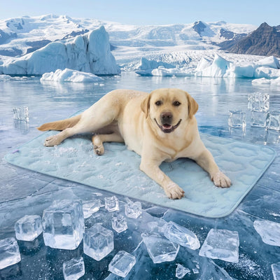 LE SURE Cooling Dog Mat XL Blue