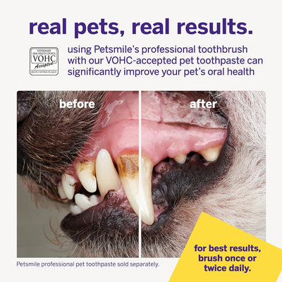 Dual-Ended 45° Dog Toothbrush