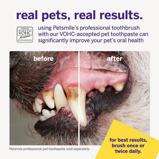 Dual-Ended 45° Dog Toothbrush