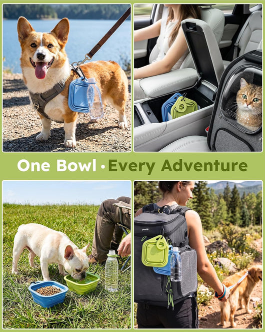 Portable Collapsible Silicone Dog Bowls for Travel